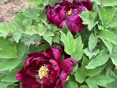 -合肥三国新城遗址公园