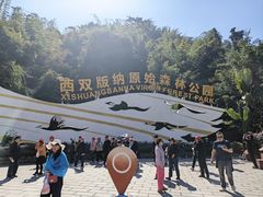 -西双版纳原始森林公园