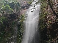 -莫里热带雨林景区