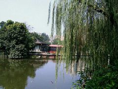 -荔湾湖公园
