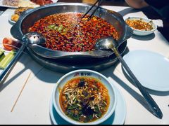 -蜀今朝美蛙鱼头火锅(筠连店)