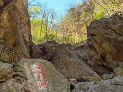 -大连天门山国家森林公园