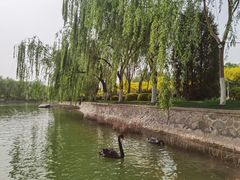 -南翠屏公园