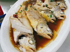 清蒸小黄鱼-杨记海鲜楼