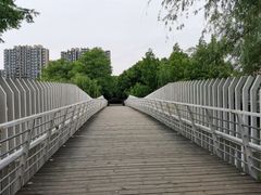 -南翔镇银翔湖公园