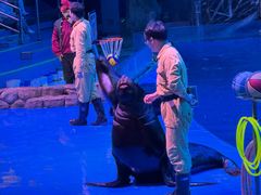 -芜湖新华联大白鲸海洋公园