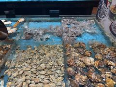 -紫阳海鲜楼·传承闽味(长乐路总店)