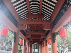 -广东花都湖国家湿地公园