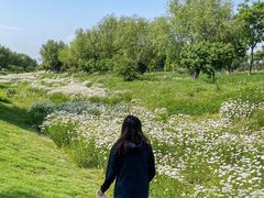 -汉长安城未央宫国家考古遗址公园