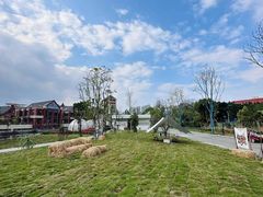 -悦见花开·花园里的火锅·露营·下午茶