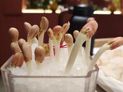 花生芽-芸山季·云南野生菌火锅(宝能环球汇店)