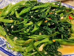 -金龙寨(解西店)