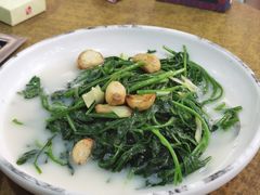 -金记猪肚鸡(琅西店)