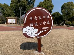 -九科绿洲