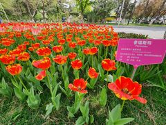 -北京友谊宾馆·俄罗斯餐厅