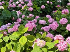 -常州古运河南大街文化旅游区-人民公园