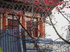-广州中山纪念堂