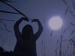 -白鹭湾湿地公园