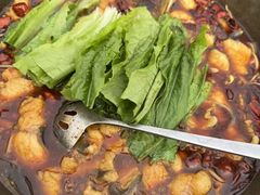-都江堰石锅鱼