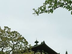 -奈良公园
