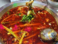 -蛙一刀·麻椒鱼火锅(金仙桥店)