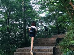 -紫金山山顶公园