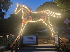 -杭州开元森泊度假乐园