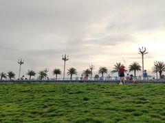 -羚羊峡古栈道森林公园