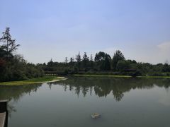 -桤木河湿地公园