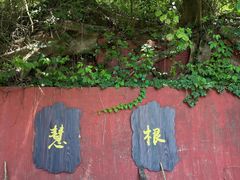 -老君山
