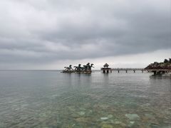 -养马岛旅游度假区