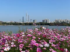 -海珠湖公园