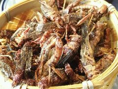 -老保定驴肉馆(云岗路店)
