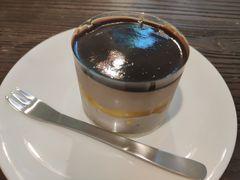 -有猫主题·治愈系猫咖(曾厝垵店)