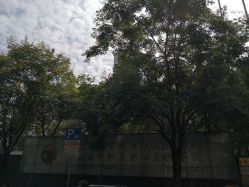 -复旦大学附属妇产科医院(杨浦院区)