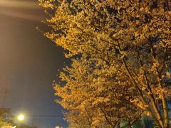 -永乐路-路侧停车场