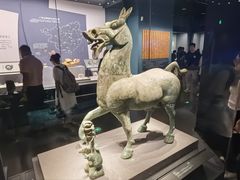 -广西壮族自治区博物馆