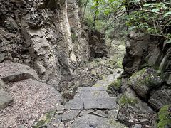 -五龙洞国家森林公园