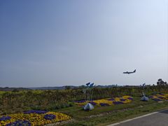 -空港花田景区