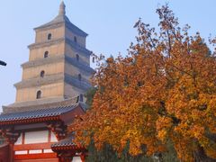 -大慈恩寺(大雁塔)