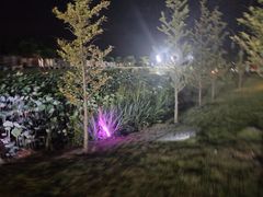-上海怡沁园度假酒店