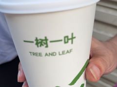 -一树一叶·福建茶档(石鼓路店)