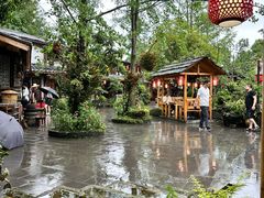 -青城甲(青城山店)