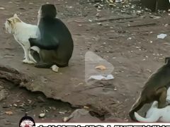 -昆明动物园