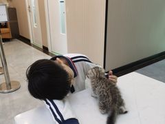 -瑞派宠物医院(搏威敦和院)