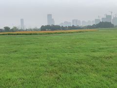 -映月湖中央公园