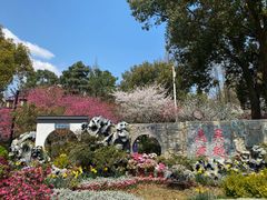 -苏州上方山国家森林公园