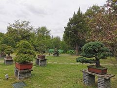 -盆景园(扬州大运河文化旅游度假区)