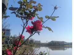 -极客修手机维修·电脑维修·家电维修清洗(五一广场店)