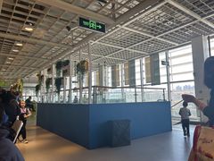 -宜家·瑞典风味餐厅(四元桥店)